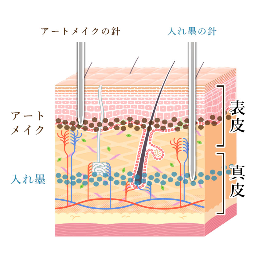 アートメイクの仕組み