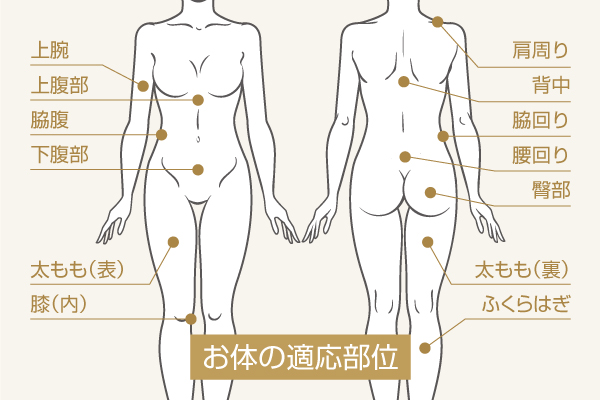 脂肪溶解注射：お体の適用部位